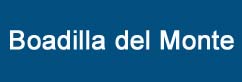 Asistencia técnica calderas Chaffoteaux Boadilla del Monte